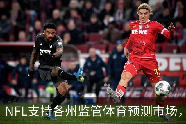 NFL支持各州监管体育预测市场，向最高法院递交意见书
